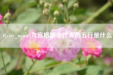 库尔勒九宫格数字代表的五行是什么