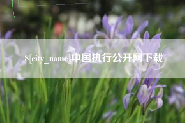 库尔勒中国执行公开网下载