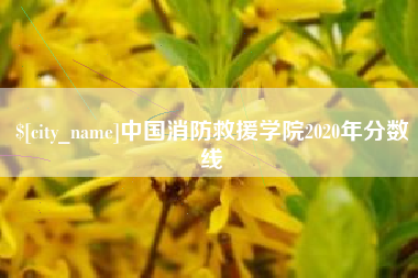 库尔勒中国消防救援学院2020年分数线