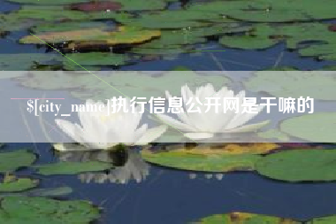库尔勒执行信息公开网是干嘛的