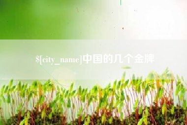 库尔勒中国的几个金牌