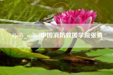 库尔勒中国消防救援学院张勇