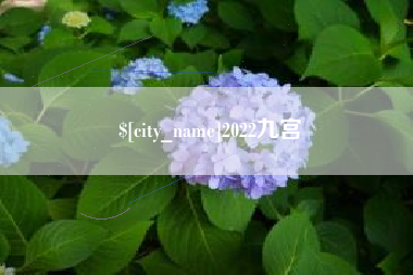 库尔勒2022九宫