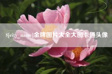 库尔勒金牌图片大全大图卡通头像