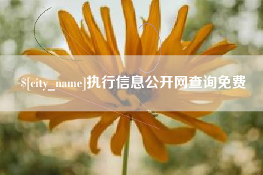 库尔勒执行信息公开网查询免费